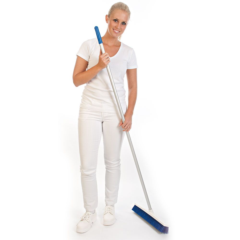 Stiel | Aluminium für Wasserschieber | 4 Stk.