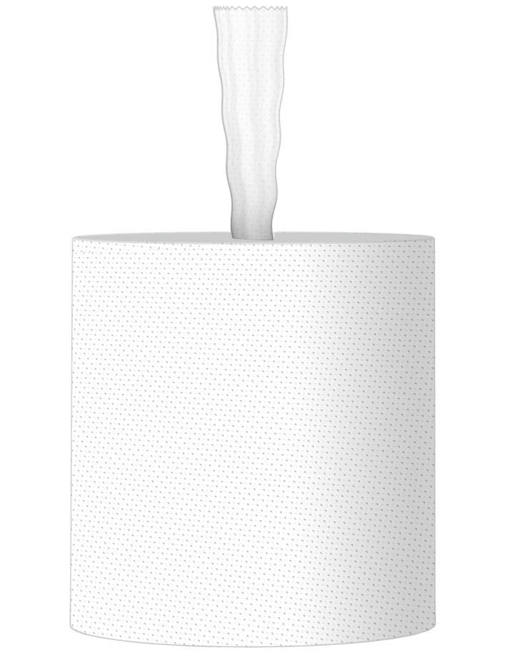 Handtuchrolle, 1-lagig, Zellstoff, 300m, 1070 Abrisse, Innenauszug, ohne Hülse