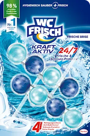 WC-Stein Kraft Aktiv Frische Brise